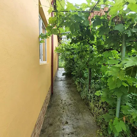 Casa Tulceanu *